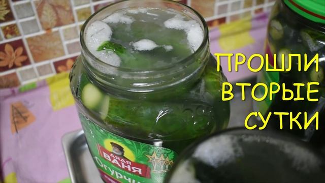 СОЛЕНЫЕ ОГУРЦЫ НА ЗИМУ В БАНКАХ.СОЛЕНЫЕ ОГУРЦЫ ДЛЯ ПЕЛЮСТКИ.mp4