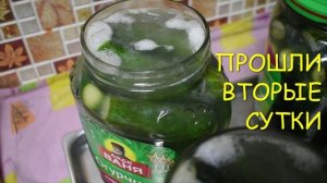 СОЛЕНЫЕ ОГУРЦЫ НА ЗИМУ В БАНКАХ.СОЛЕНЫЕ ОГУРЦЫ ДЛЯ ПЕЛЮСТКИ.mp4