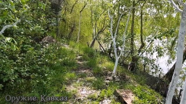 ?Майский Кавказский Шашлык?из Куриных Крылышек?