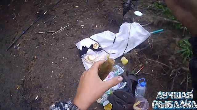 Ловля карпа на поплавок в день закрытие лимана. Поймал Кои смотреть онлайн