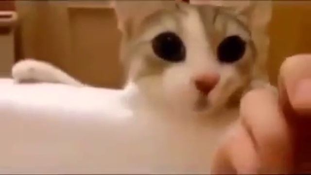 хозяйка,я спасу тебя! смотреть онлайн