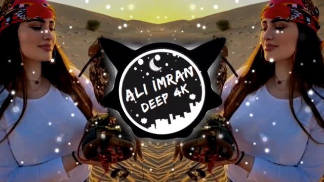 Arabic remix 2024 || Night in dubai || Slowed Reverb || Bass boosted || Arabic song || deep 4k смотреть онлайн