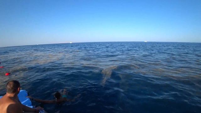 ЕГИПЕТ 2019. ШАРМ-ЭЛЬ-ШЕЙХ. ROYAL GRAND SHARM. АНОМАЛИЯ КРАСНОГО МОРЯ ВЕЧЕРОМ. смотреть онлайн