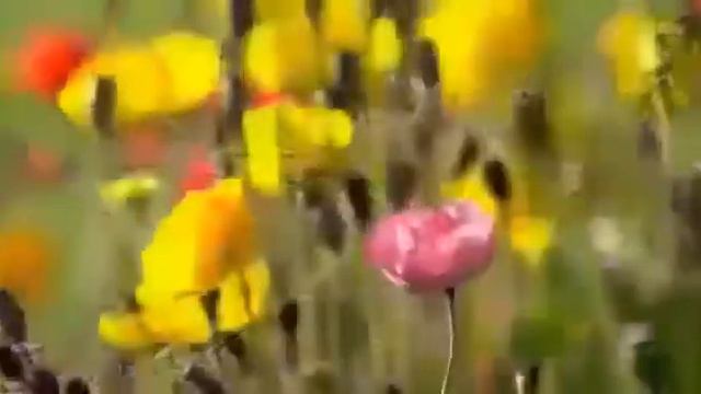 СССР.. как было смотреть онлайн