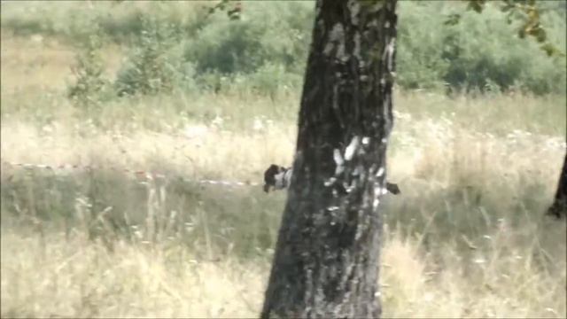 Жалила из Дома Лоцман ОТ смотреть онлайн