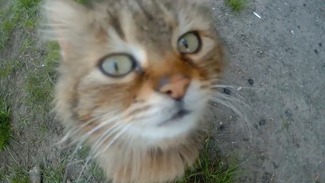 Николаев поселок Матвеевка. смотреть онлайн