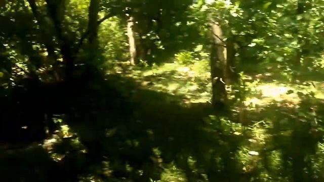 Подготавливаем лесной точёк для кочёвки на липу смотреть онлайн