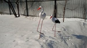 ОЖИДАНИЕ И РЕАЛЬНОСТЬ САДОВЫХ ФИГУР.ОБЗОР САДОВЫХ ФИГУРОК АИСТЫ | УКРАШЕНИЕ САДА (АИСТ ДЛЯ САДА)