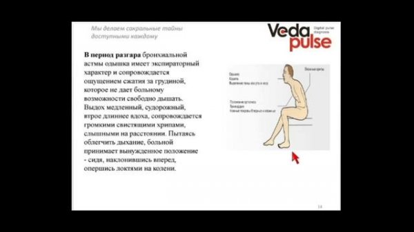 Бронхиальная астма. Иммунологические аспекты