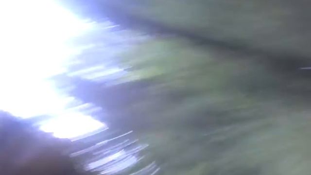 Болото в лесу. смотреть онлайн
