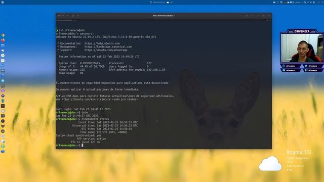 Como instalar y configurar servidor NTP en Ubuntu Server смотреть онлайн