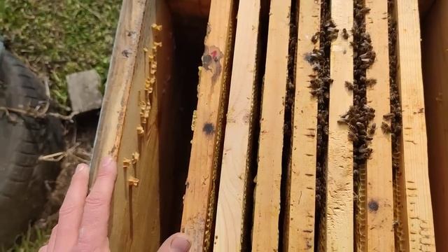 Отопление в деталях и мастер-классы для экспертов