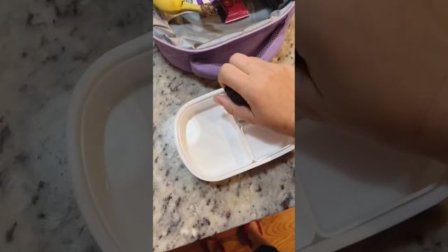 Собираю Ланч-бокс в школу за 5 минут #shorts смотреть онлайн