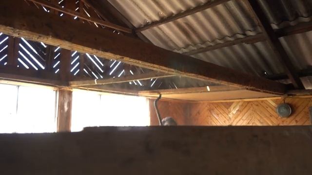 купили дом а на чердаке все в ...... смотреть онлайн