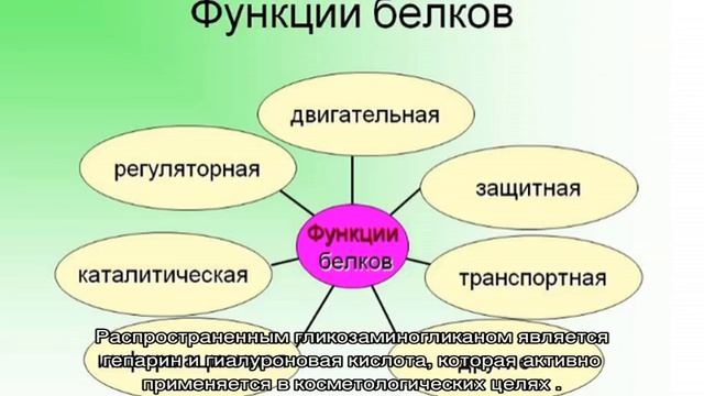 Сложные белки смотреть онлайн