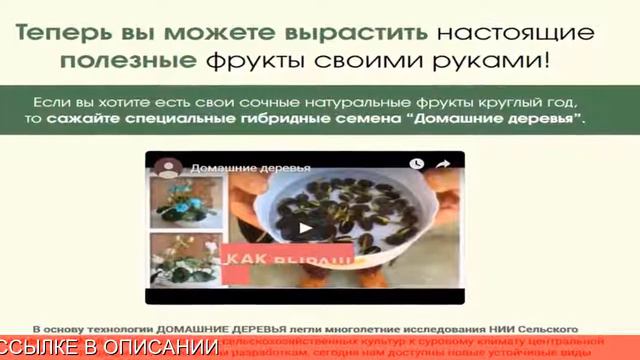 экодар смотреть онлайн