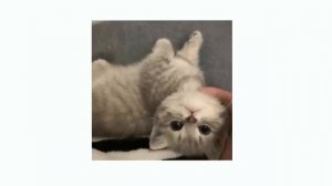 Кто то еще | Yanix - speed up