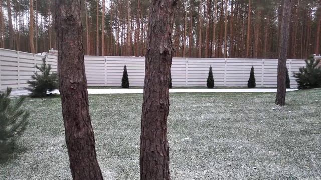 современный деревянный забор спустя один год стал только краше