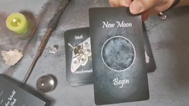 The Witches World Oracle Deck review en español смотреть онлайн
