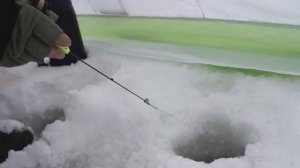 Кивок ручной работы для безмотылки