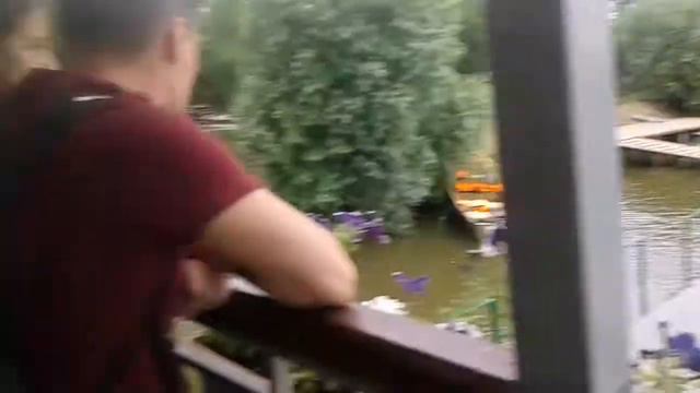 Астрахань Золотой лотос база отдыха 2017Отдых