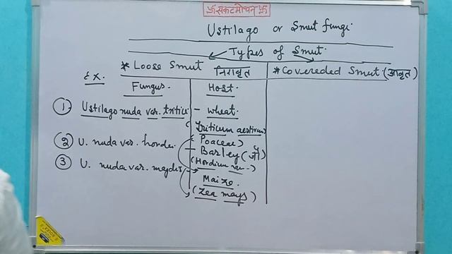 Ustilago /Smut Fungi смотреть онлайн