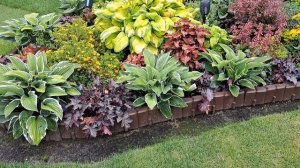 Красивые цветочные композиции в моём саду .