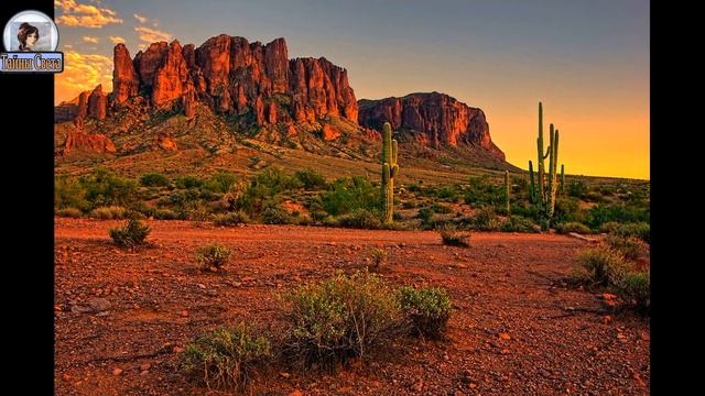 Цветущие пустыни или жизнь на сковороде существует смотреть онлайн