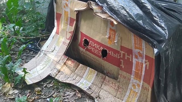РОЙ ПЧЁЛ в ЦЕНТРЕ МОСКВЫ рой в коробке смотреть онлайн