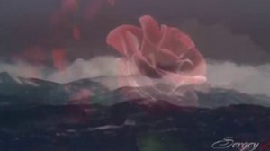 РАНЕНАЯ ПТИЦА - Ольга Лозина