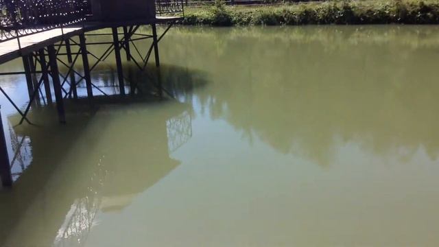 Мария в Карпатах. Поход на озеро