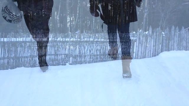 Зимняя фотосессия с лошадью смотреть онлайн