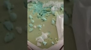 поляки находят животных 2