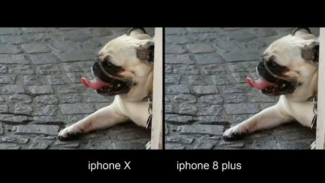 iphone x vs iphone 8 plus Camera :Comparison Test смотреть онлайн