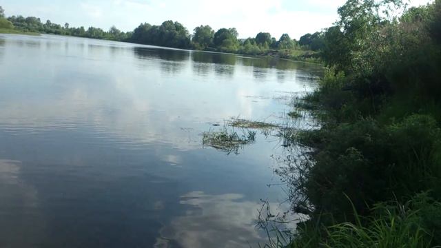 Улов леща на Соже смотреть онлайн