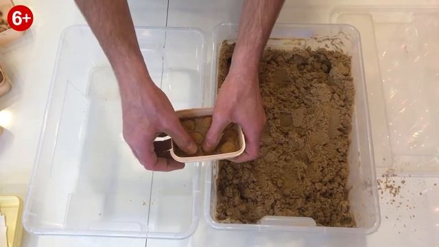 Стратификация косточек Абрикоса Петр Великий, Рыжий, Боднара, Патриарх и черешня Боднара. смотреть онлайн