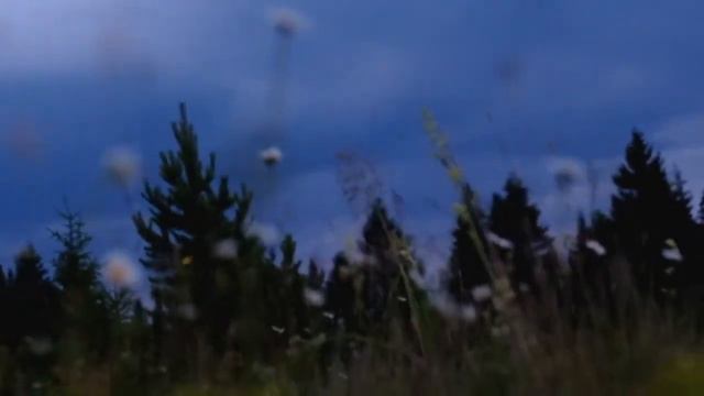 Туман варган смотреть онлайн