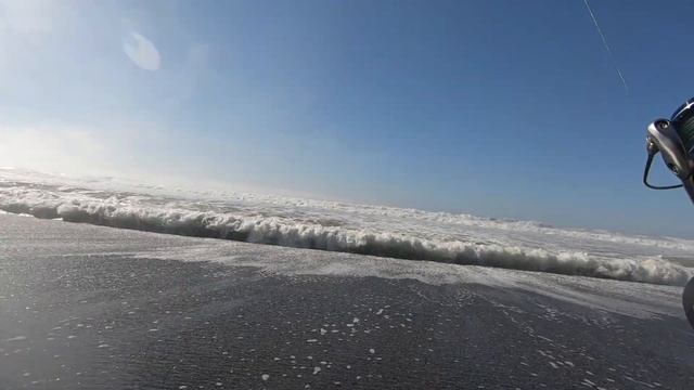 California Redtail Surf Perch Fishing In Mid-April 2020 (Fishing Report) смотреть онлайн