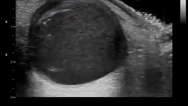 Image01 смотреть онлайн