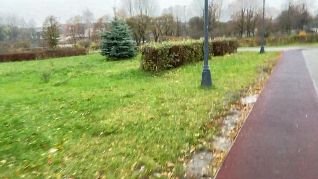 Парк для собак в Зеленограде. Да здесь и жить можно? смотреть онлайн