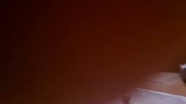 ТРИ НОВЫХ ПИТОМЦА-УЛИТКИ АХАТИНКИ ТРИ МАЛЫША УЛИТЯТА