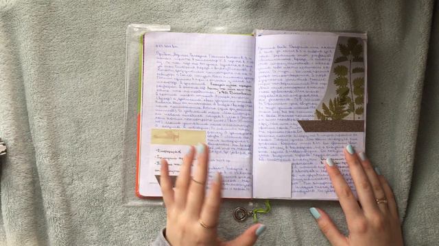 Личный дневник•Адриан(или нет)•убогие комментарии смотреть онлайн