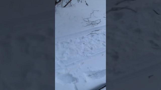 Слишком много снега смотреть онлайн