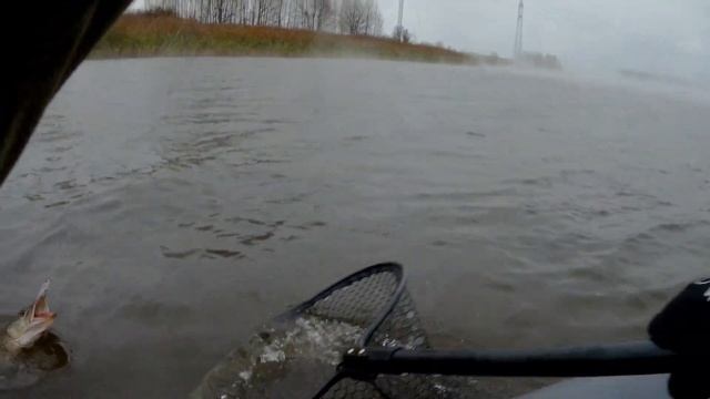 БЕШЕНЫЙ клев ЩУКИ, ОКУНЯ и ТИЛЯПИИ на СПИННИНГ в ОКТЯБРЕ 2021 смотреть онлайн