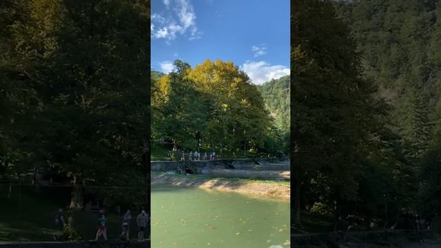 Абхазия 2020 частный сектор на берегу моря в Гаграх жильё для отдыха без посредников экскурсии по смотреть онлайн