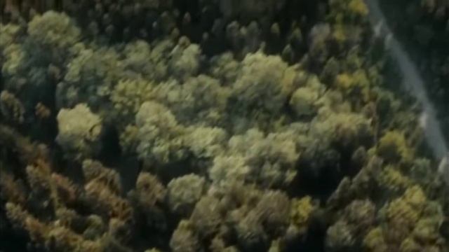 Молитва. Дарья Волосевич. Продюсерский центр "Эколь". смотреть онлайн