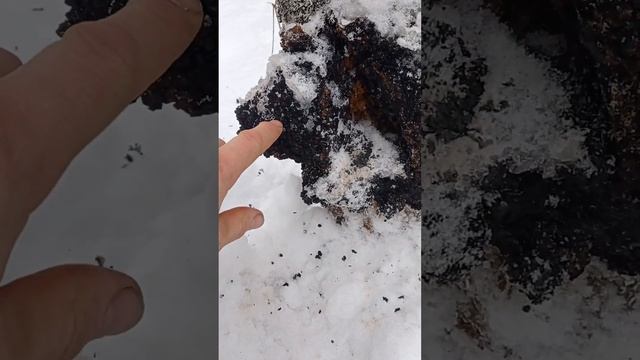 ЧАГА!!!!! ??? смотреть онлайн