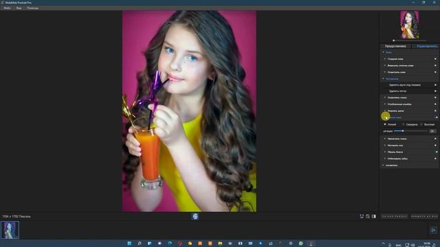 Тест программы для обработки портрета WidsMob Portrait Pro смотреть онлайн