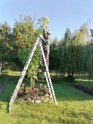 ЭЛЕКТРОГРЯДКА Почеевского 2022 год