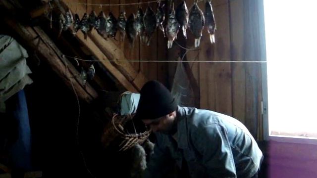 Вешаю рыбу карася на крючки для воблы для сушки. смотреть онлайн